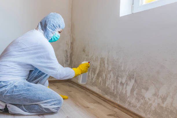 Bathroom Mold Removal assessment in Melrose Park bathroom